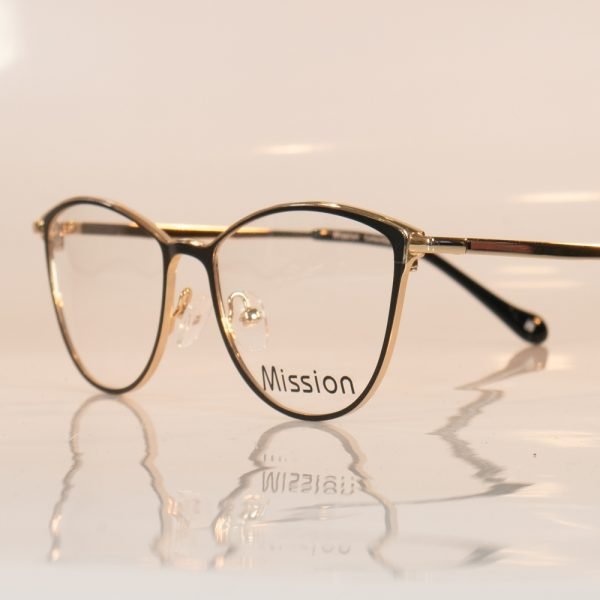 Mission 1884