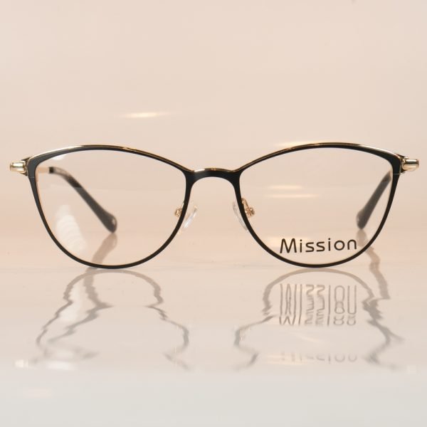 Mission 1884