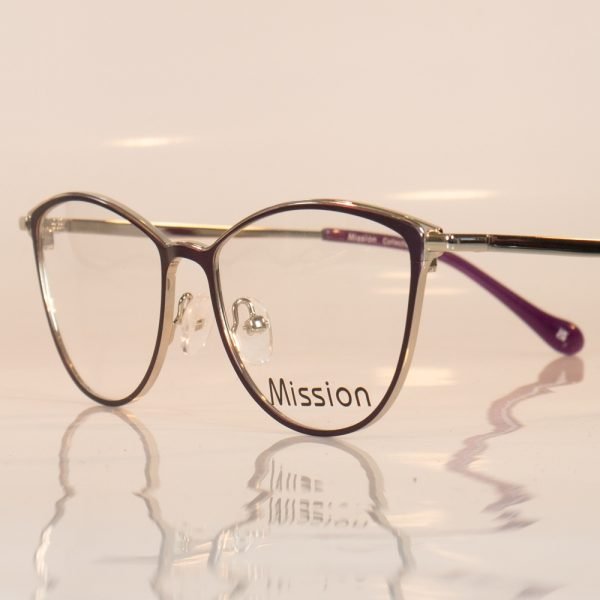 Mission 1884