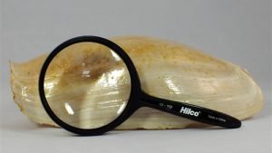 Hand Magnifier in three sizes