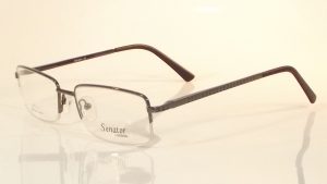 Senator 211