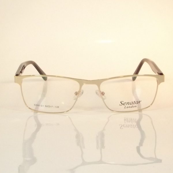 Senator 220 - Image 2