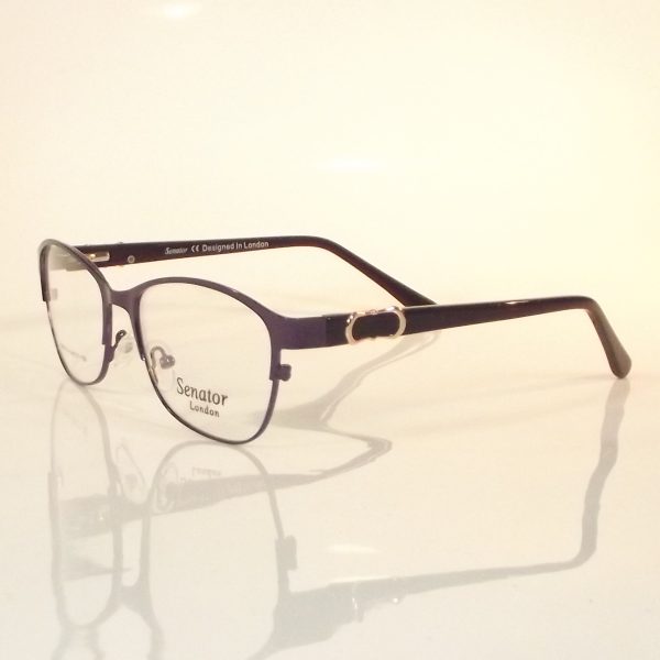 Senator 229