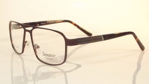 Senator 230