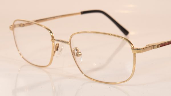 3566 | titanium glasses