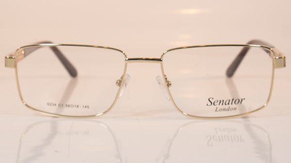 senator 234 gold front
