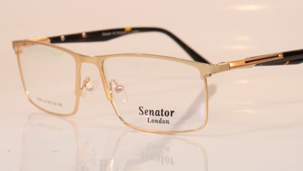 Senator 246 | C4 Gold | Side | Faversham Optical
