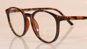 Solo 831 | Havana | Side | Faversham Optical