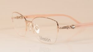 Mission 1895