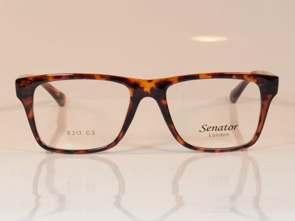 Senator 313 - Image 2