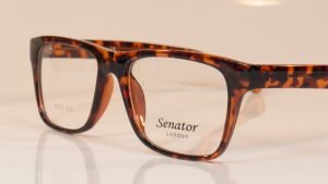 Senator 313