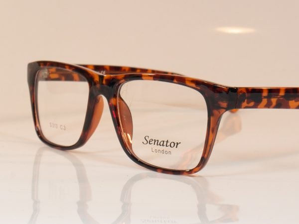 Senator 313