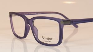 Senator 361