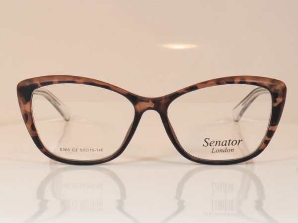 Senator 365 - Image 4