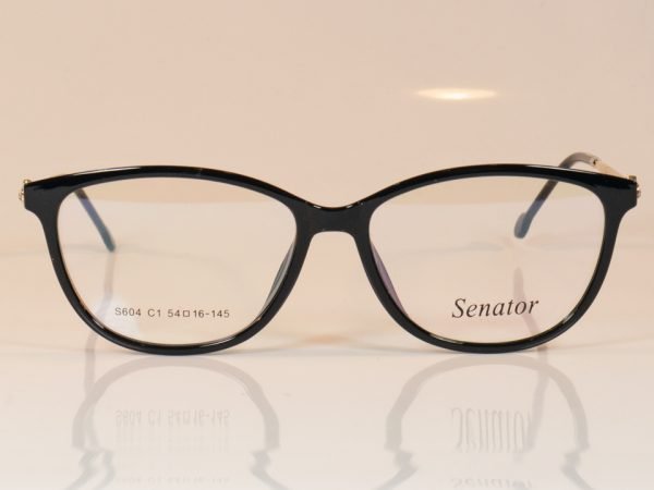 Senator 604 - Image 4