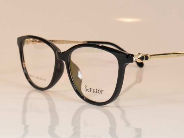 Senator 604 - Image 3