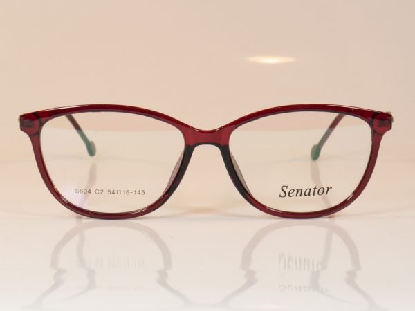 Senator 604 - Image 2