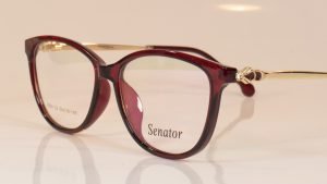 Senator 604
