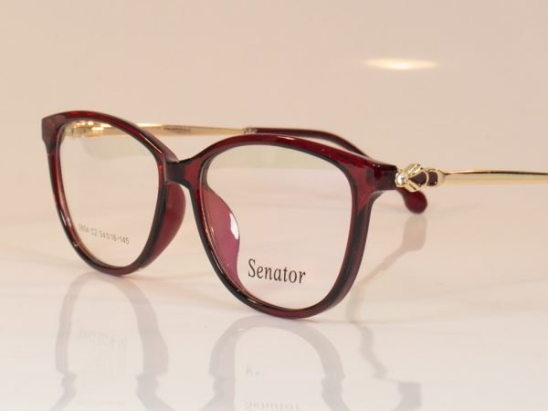 Senator 604