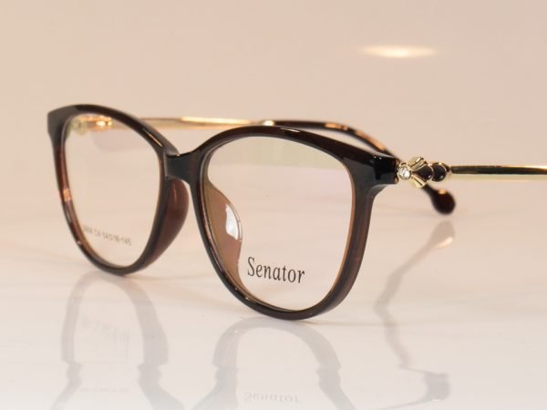 Senator 604 - Image 5