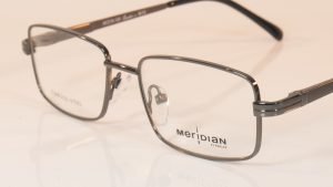Meridian Enzo