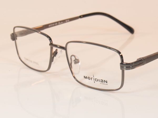 Meridian Enzo