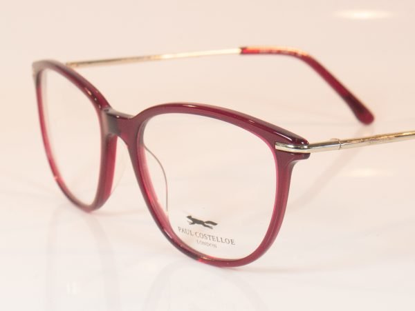Paul Costelloe 5175