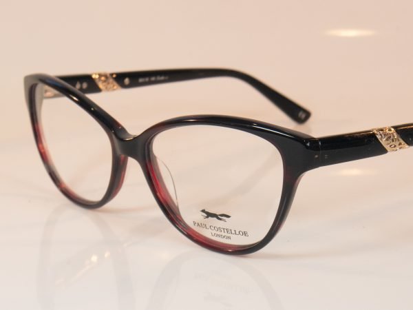 Paul Costelloe 5187