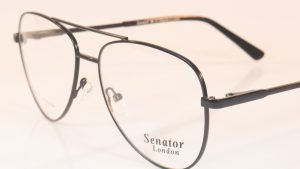 Senator 232