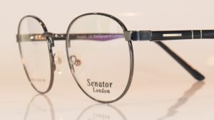 Senator 233